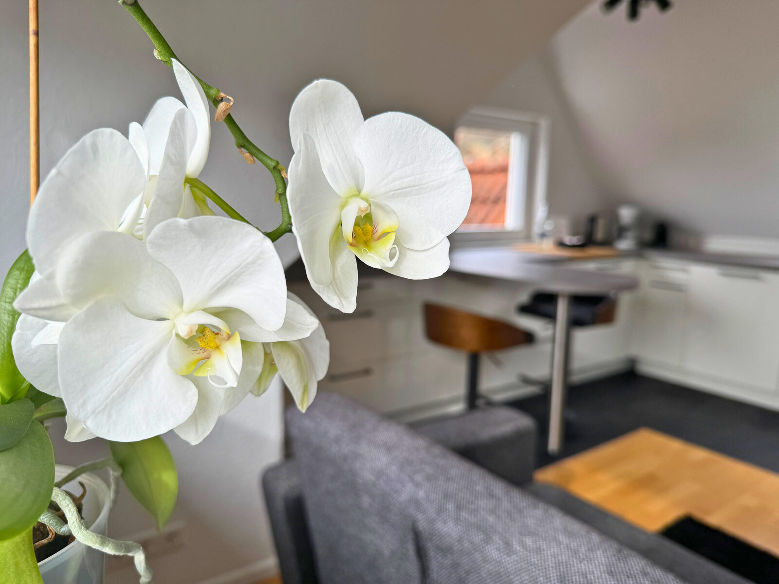 wohnung5-16.jpg